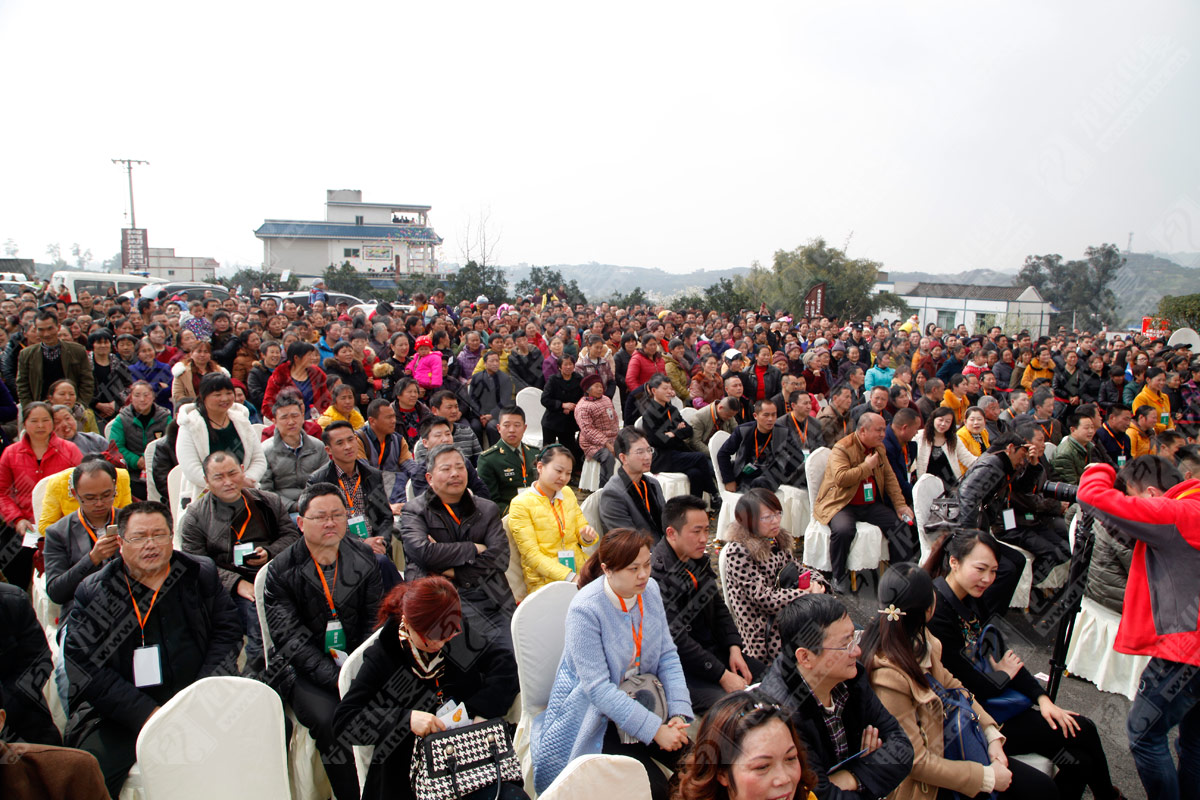 丹棱不知火愛(ài)媛耙耙柑春見(jiàn)清見(jiàn)桔橙水果品牌營(yíng)銷(xiāo)策劃方案|丹棱水果品牌建設(shè)推廣設(shè)計(jì)執(zhí)行公司