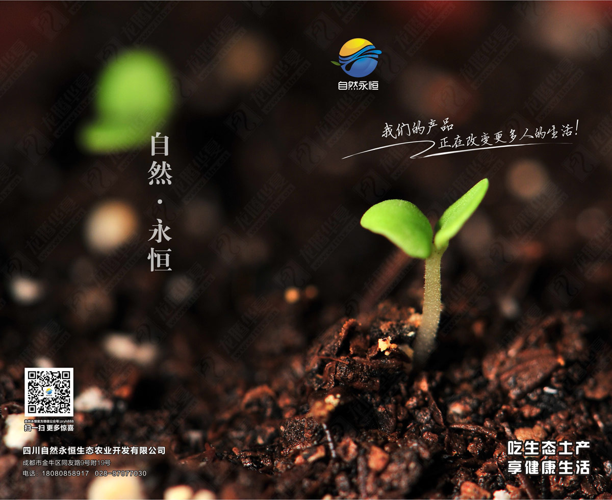 土雞蛋包裝設(shè)計