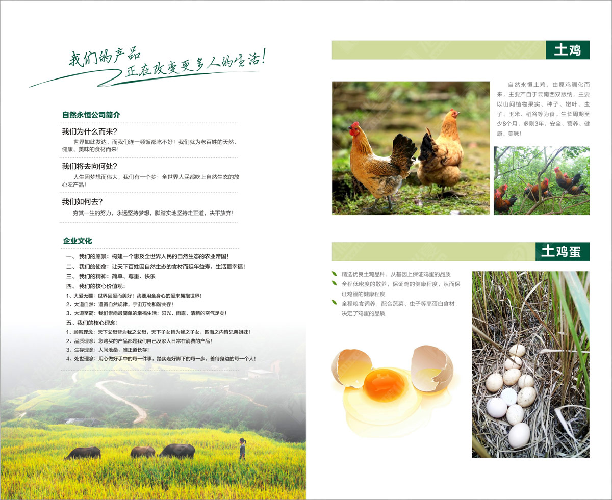 土雞蛋包裝設(shè)計