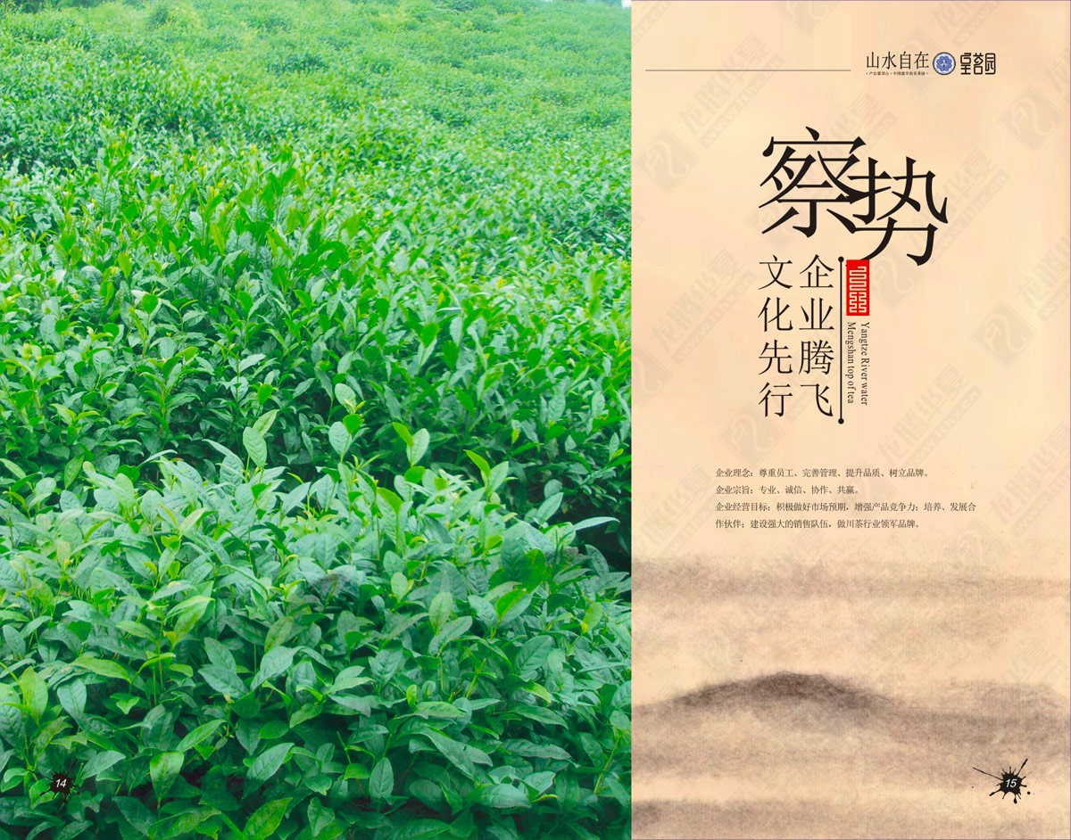 蒙頂山皇茗園茶業(yè)宣傳畫冊設(shè)計(jì)