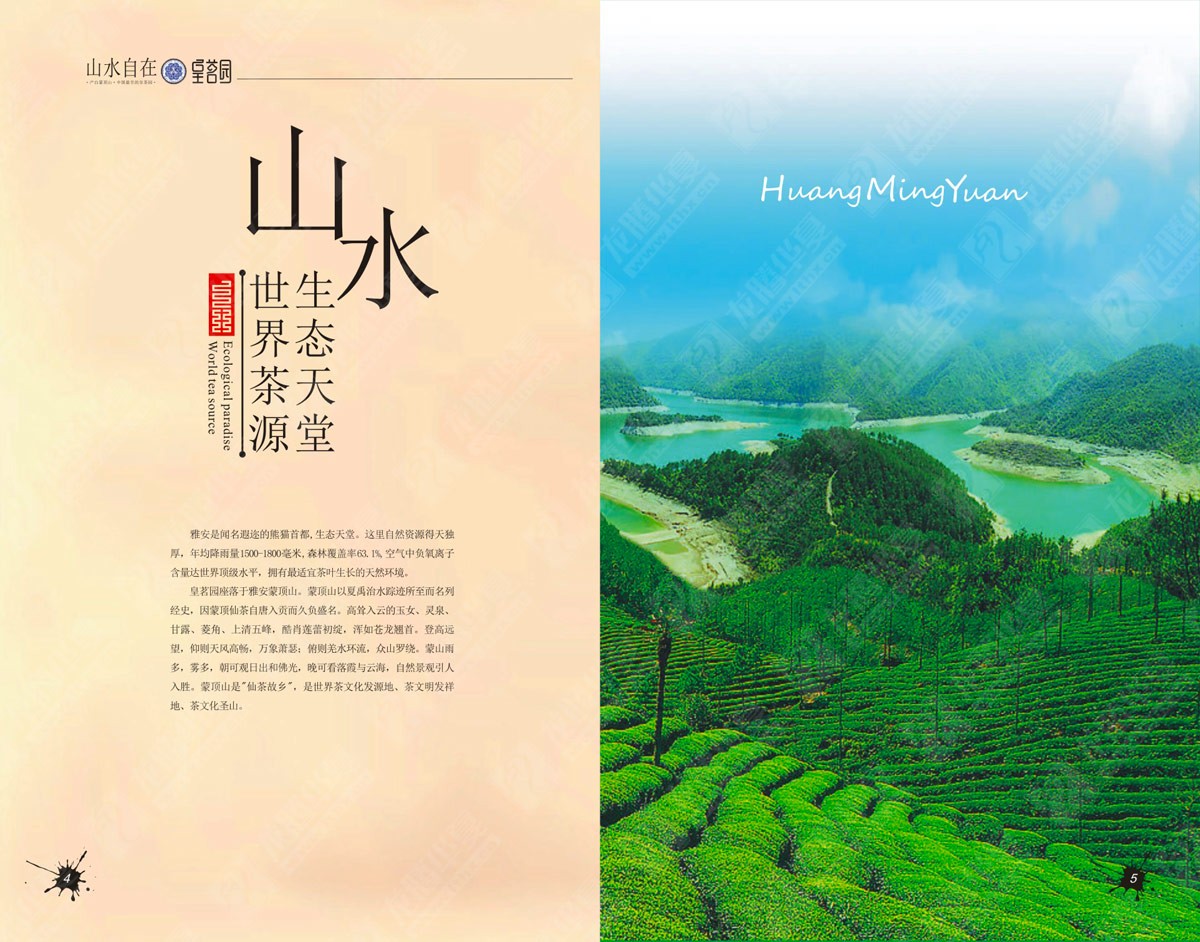 蒙頂山皇茗園茶業(yè)宣傳畫冊設(shè)計(jì)