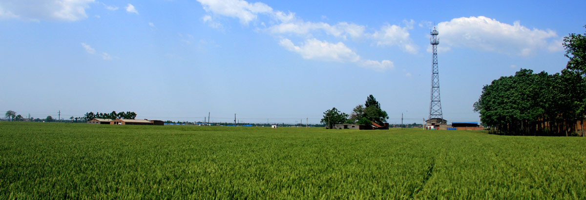 構(gòu)建現(xiàn)代農(nóng)業(yè)信息服務(wù)平臺(tái)，讓互聯(lián)網(wǎng)為農(nóng)民“牽線(xiàn)搭橋”