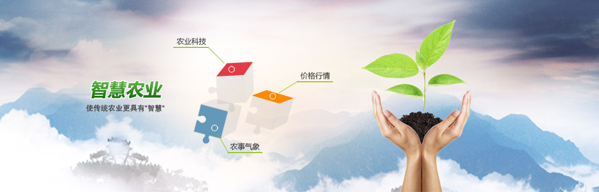 大數(shù)據(jù)VS智慧農(nóng)業(yè)：大數(shù)據(jù)如何重構(gòu)與改造傳統(tǒng)農(nóng)業(yè)？.jpg