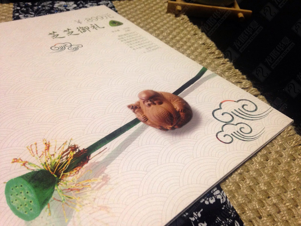 芝芝端午粽子畫冊設(shè)計(jì)|粽子宣傳畫冊設(shè)計(jì)|粽子端午節(jié)畫冊設(shè)計(jì)