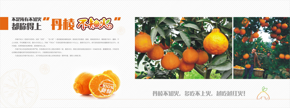 德陽畫冊(cè)設(shè)計(jì)公司.jpg