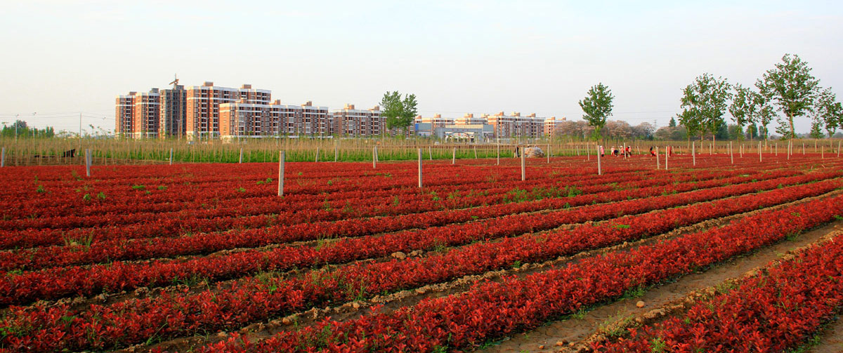 如何組建農(nóng)業(yè)企業(yè)？.jpg