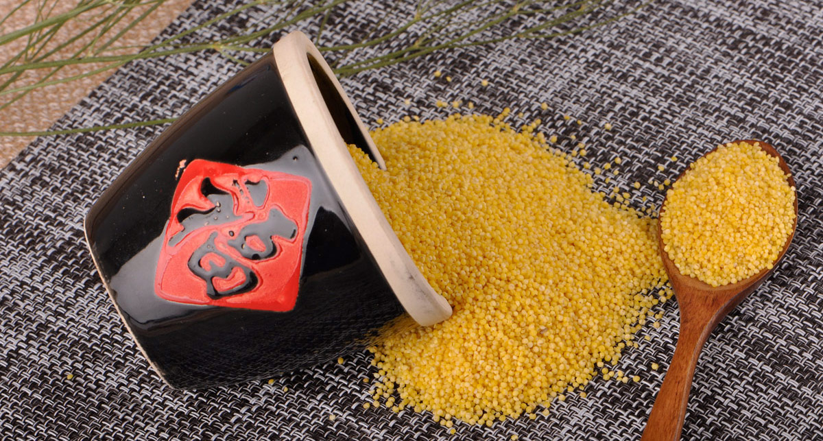 如何構思農(nóng)產(chǎn)品品牌標識語？.jpg