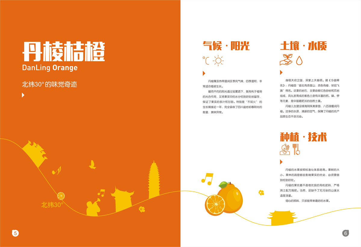 丹棱桔橙招商畫冊設計