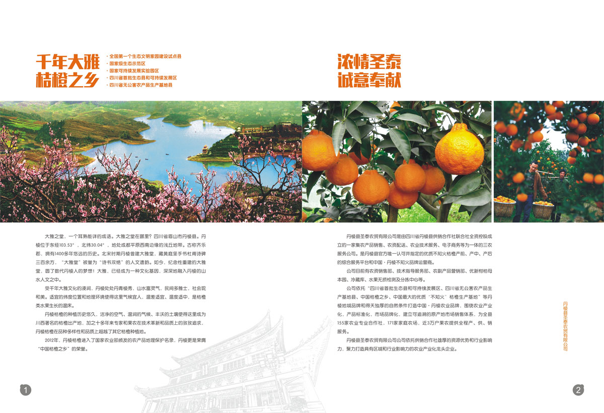 丹棱桔橙招商畫冊設計
