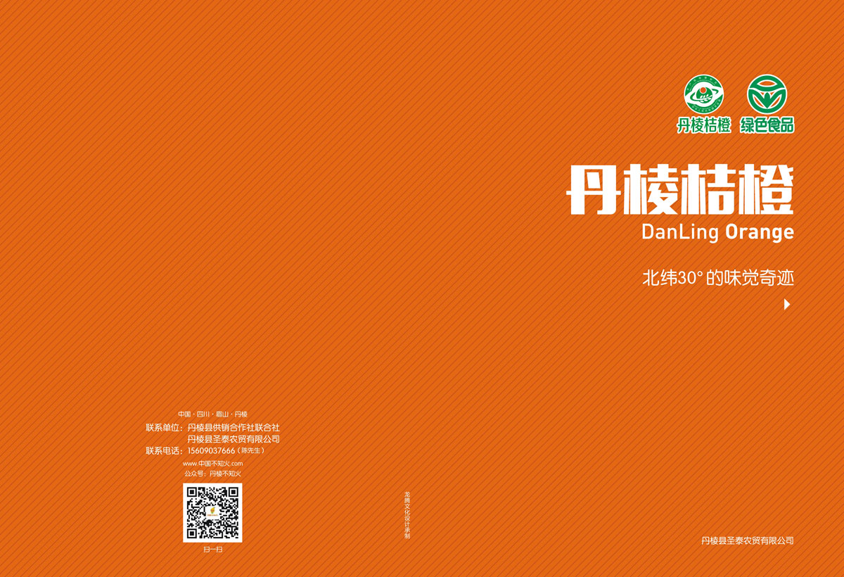 丹棱桔橙招商畫冊設計