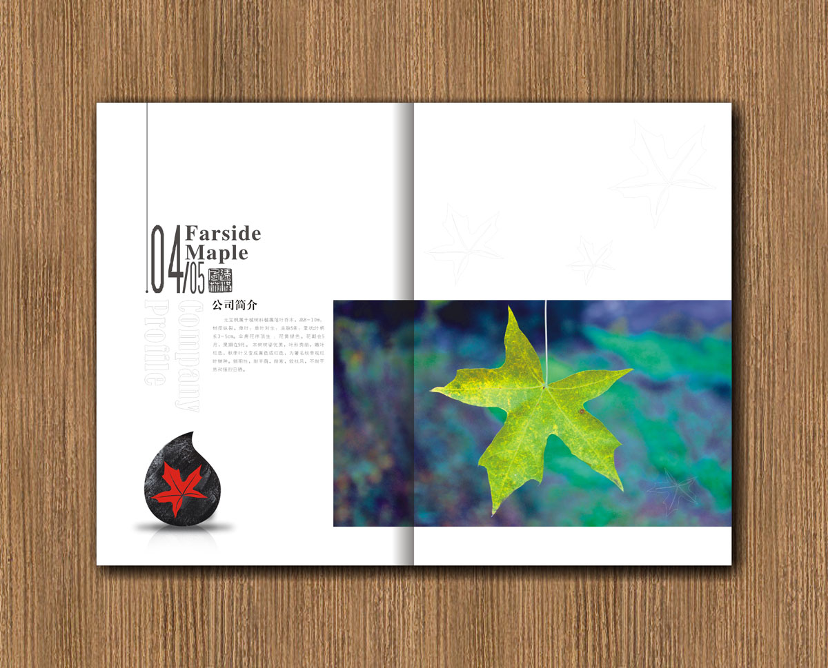遠(yuǎn)紅楓林林業(yè)公司畫(huà)冊(cè)設(shè)計(jì)_成都林業(yè)公司宣傳畫(huà)冊(cè)設(shè)計(jì)公司
