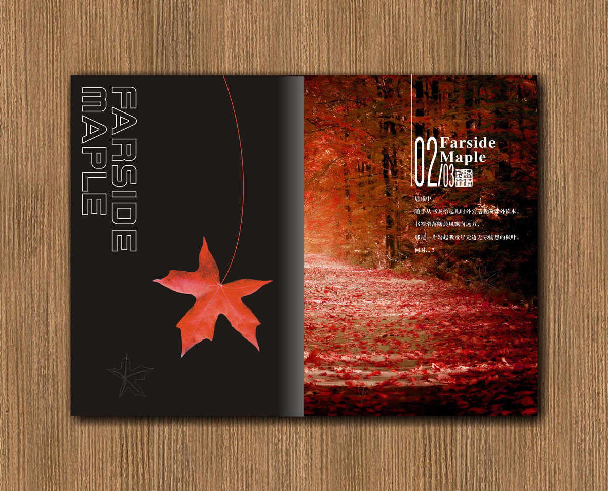 遠(yuǎn)紅楓林林業(yè)公司畫(huà)冊(cè)設(shè)計(jì)_成都林業(yè)公司宣傳畫(huà)冊(cè)設(shè)計(jì)公司
