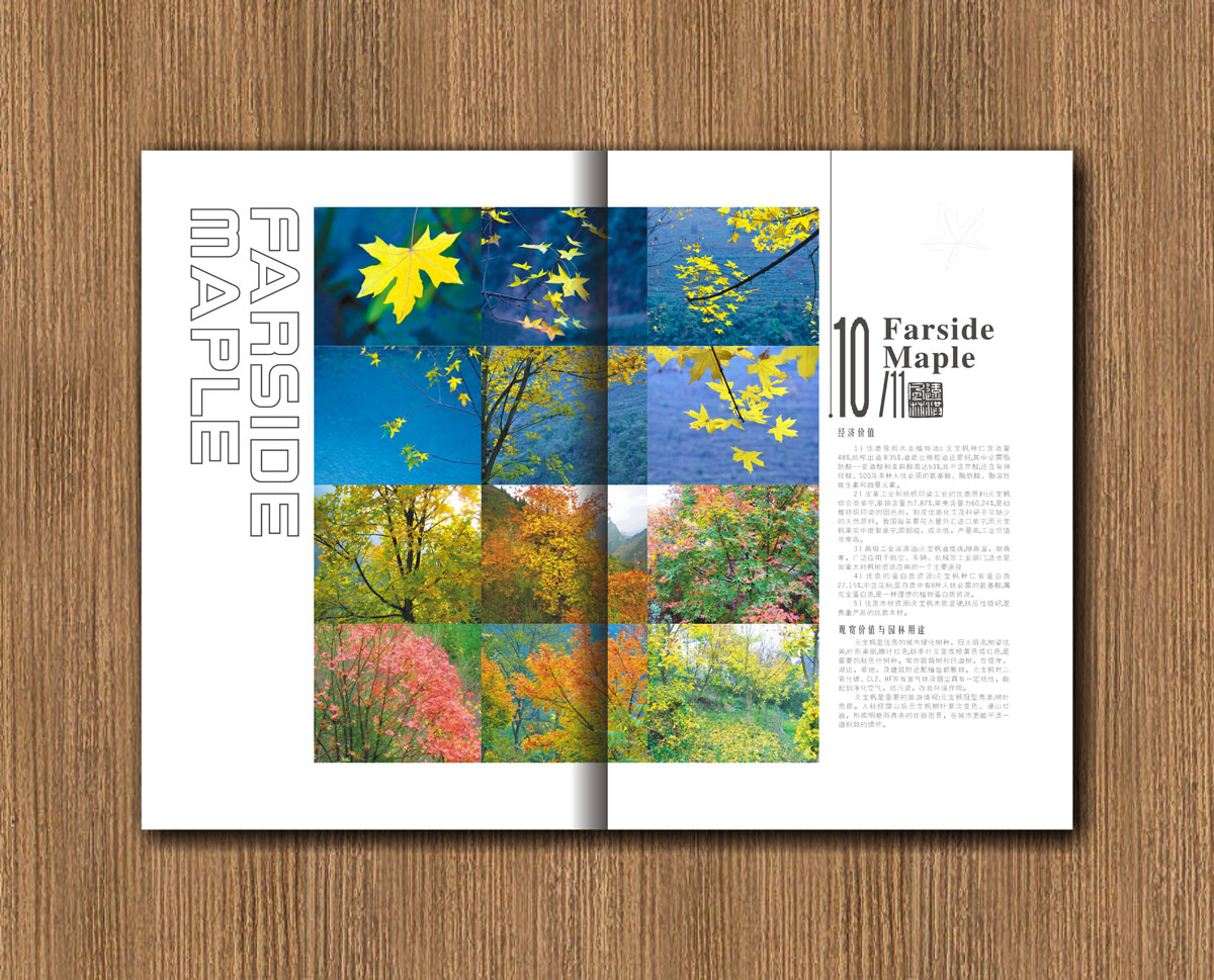 遠(yuǎn)紅楓林林業(yè)公司畫(huà)冊(cè)設(shè)計(jì)_成都林業(yè)公司宣傳畫(huà)冊(cè)設(shè)計(jì)公司