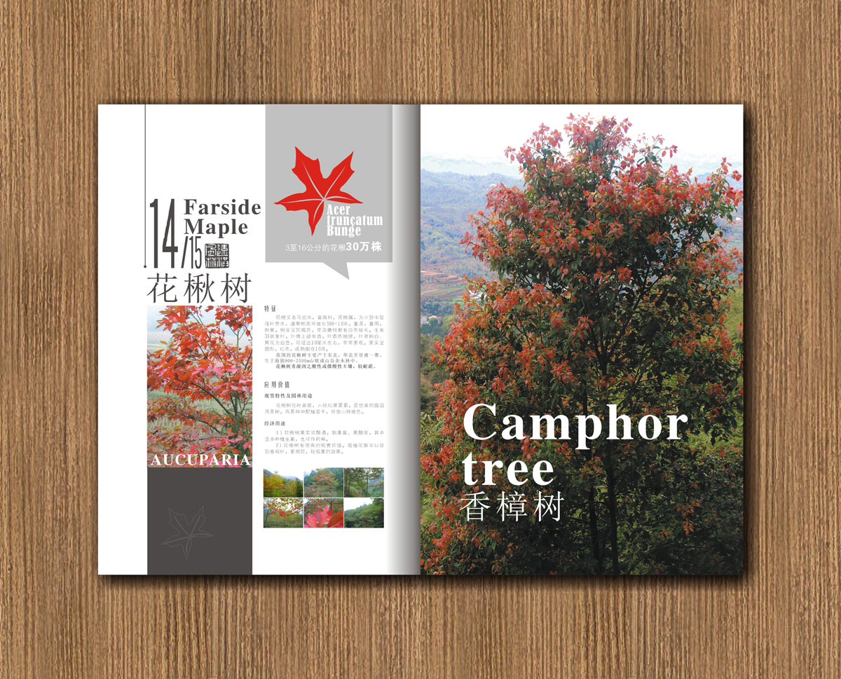 遠(yuǎn)紅楓林林業(yè)公司畫(huà)冊(cè)設(shè)計(jì)_成都林業(yè)公司宣傳畫(huà)冊(cè)設(shè)計(jì)公司