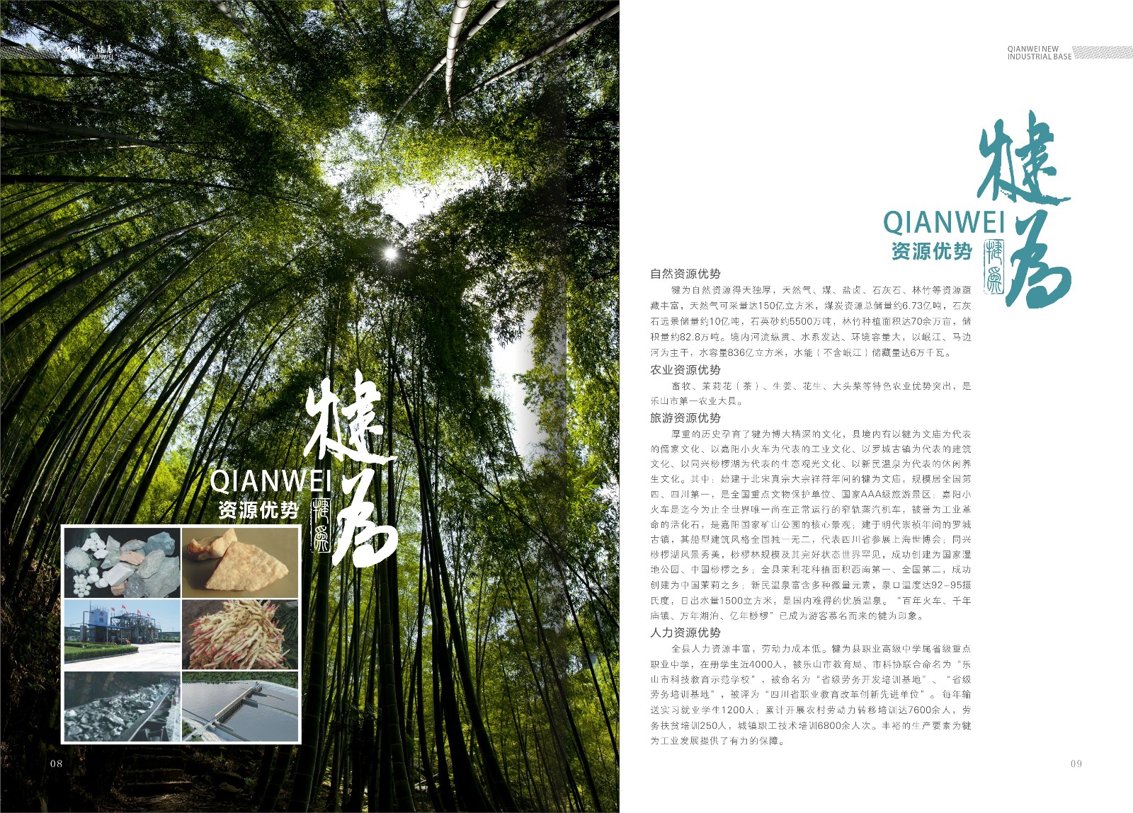 樂山高新區(qū)犍為縣招商手冊設(shè)計_樂山市畫冊設(shè)計公司_高新區(qū)招商手冊設(shè)計公司_工業(yè)基地招商宣傳冊設(shè)計
