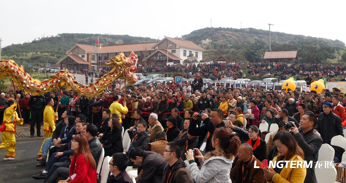 丹棱不知火愛(ài)媛耙耙柑春見(jiàn)清見(jiàn)桔橙水果品牌營(yíng)銷(xiāo)策劃方案|丹棱水果品牌建設(shè)推廣設(shè)計(jì)執(zhí)行公司