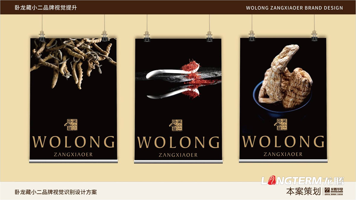 臥龍藏小二品牌LOGO設計_臥龍鎮(zhèn)品牌形象視覺標志設計_藏小二商標視覺元素提煉及品牌符號元素設計