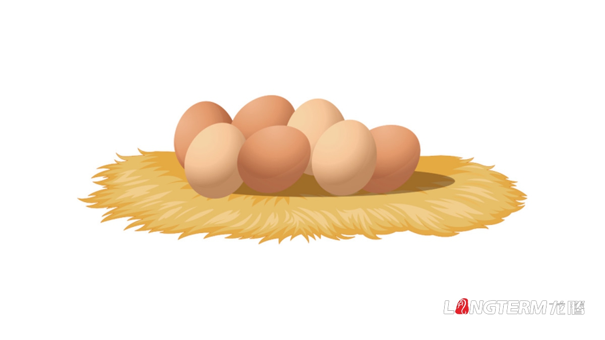 大竹特產(chǎn)笨雞笨雞蛋包裝設計_達州市農(nóng)產(chǎn)品包裝設計