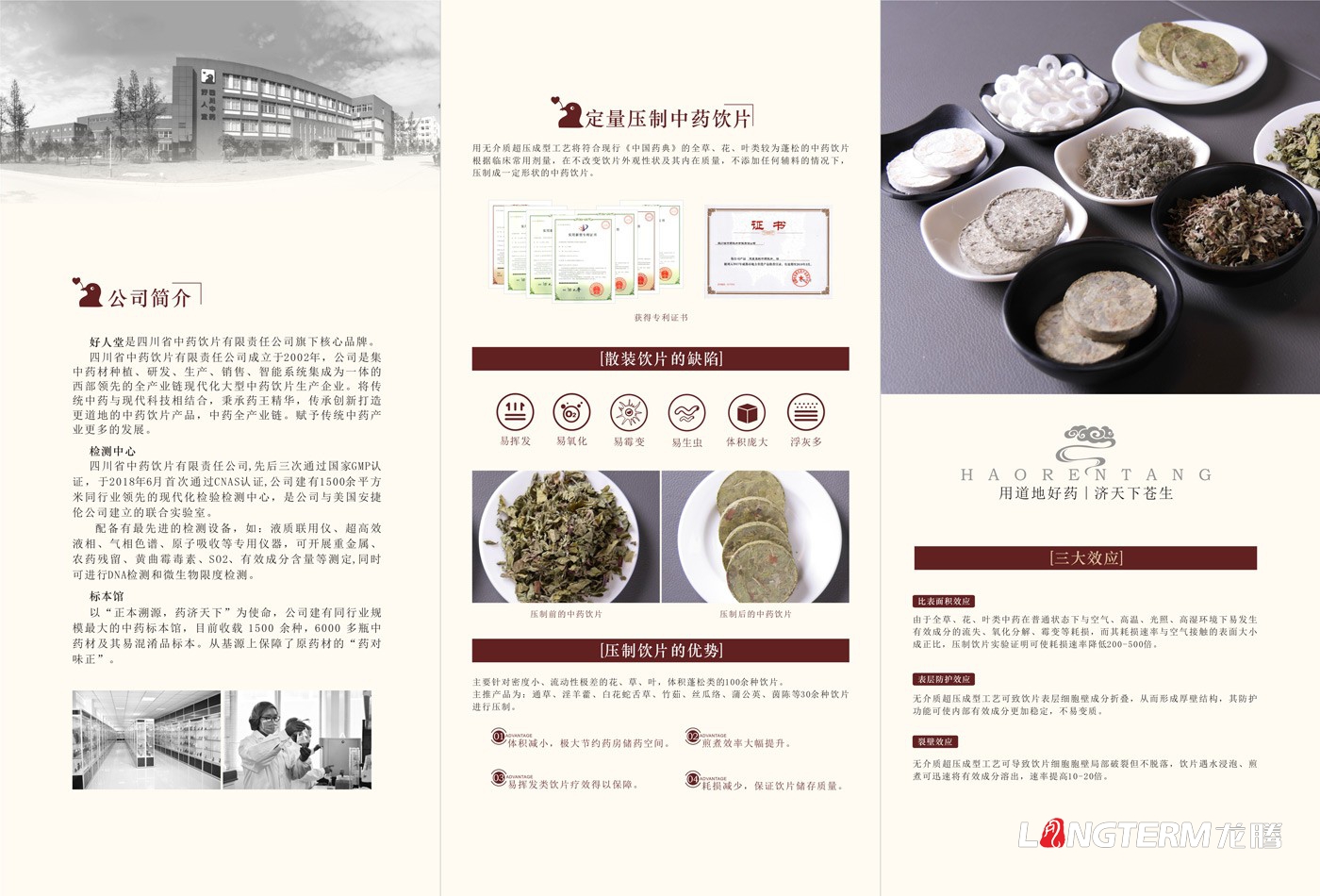 四川省中藥飲片有限責(zé)任公司三折頁設(shè)計