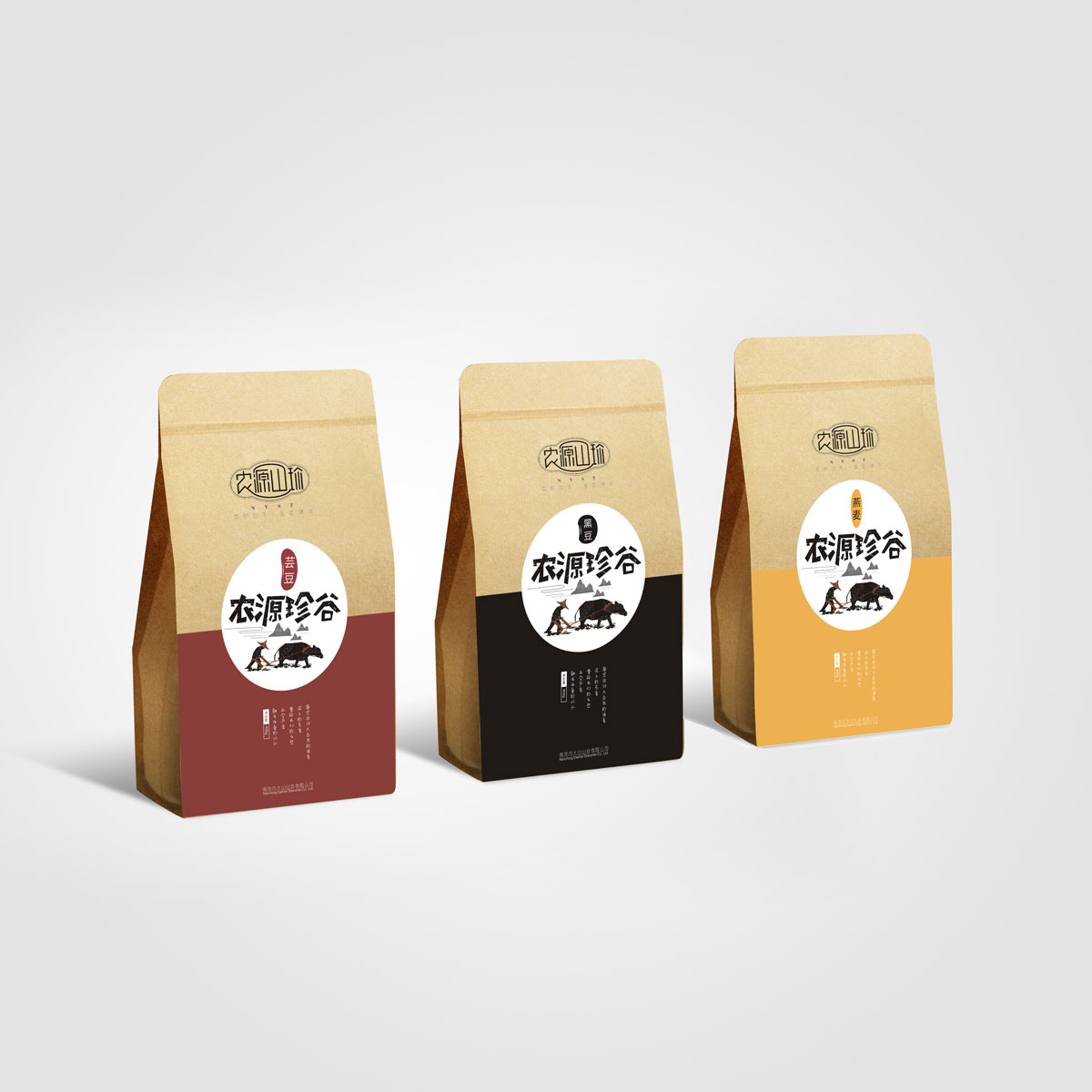 南充市大山山珍有限公司委托龍騰設(shè)計進(jìn)行整體品牌策劃