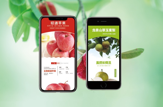 西域香妃水果詳情頁(yè)設(shè)計(jì)-水果詳情頁(yè)設(shè)計(jì)